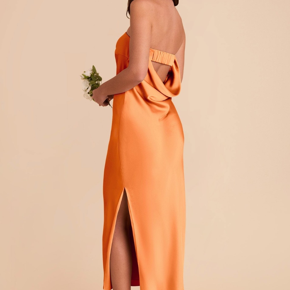 Small Birdy Grey Isla Dress Apricot